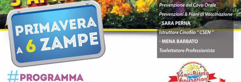 primavera a 6 zampe