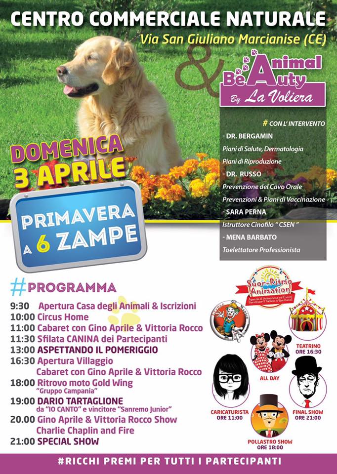 primavera a 6 zampe